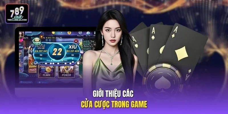 Giới thiệu các của cược trong game